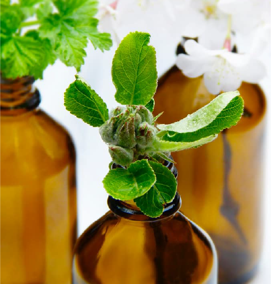 Benzyl Alcohol in Coatings Industry